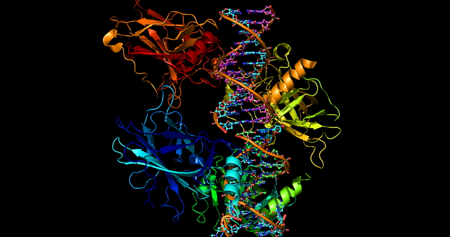 know the structure of a protein